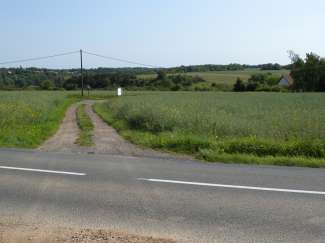 DSCN0101.JPG